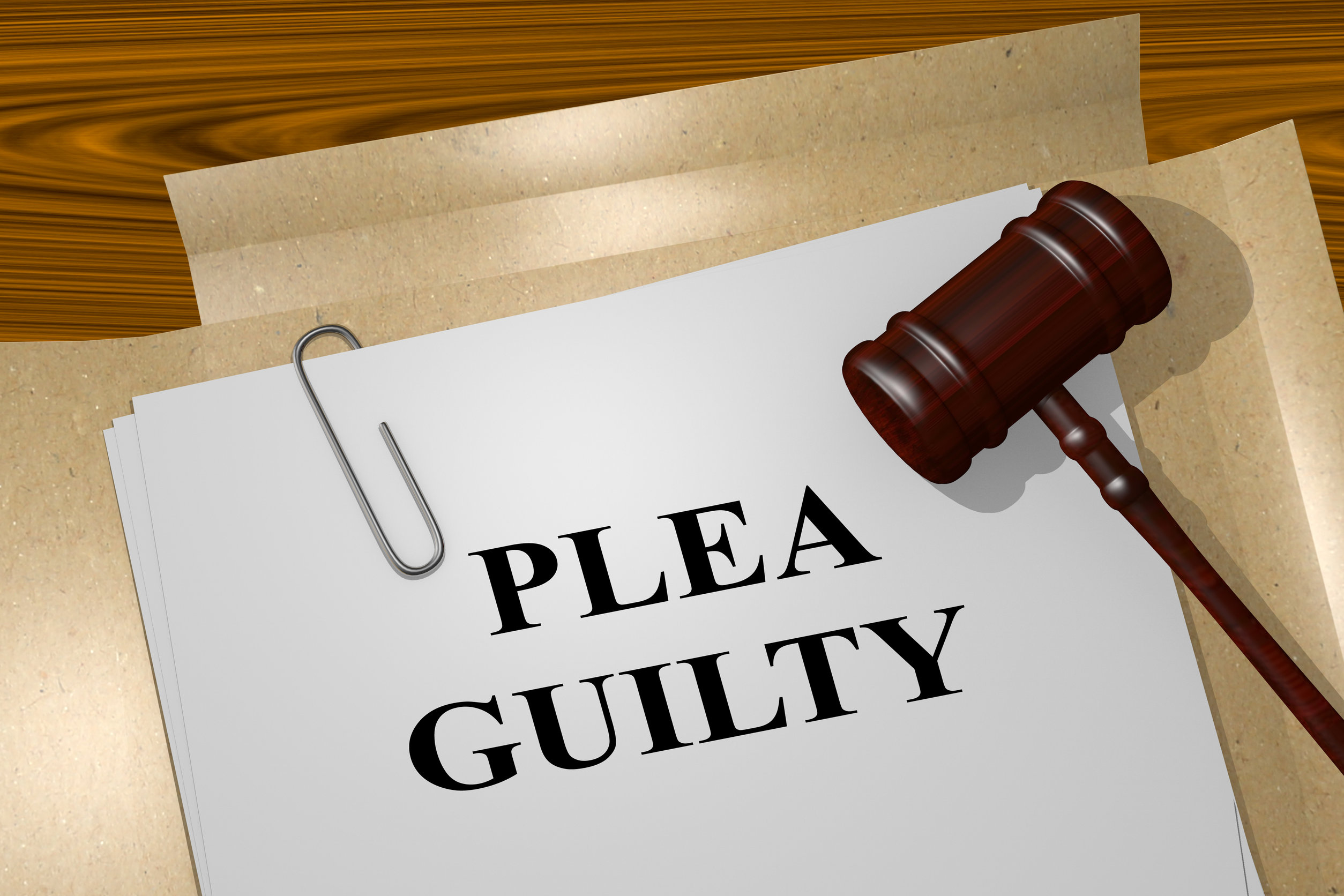 What Are The Different Types Of Pleas In A Criminal Law Case Shrader 